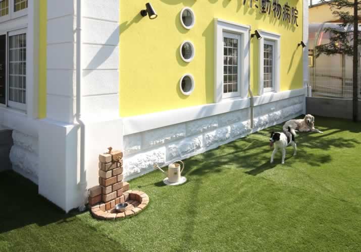 ドッグラン ドッグラン